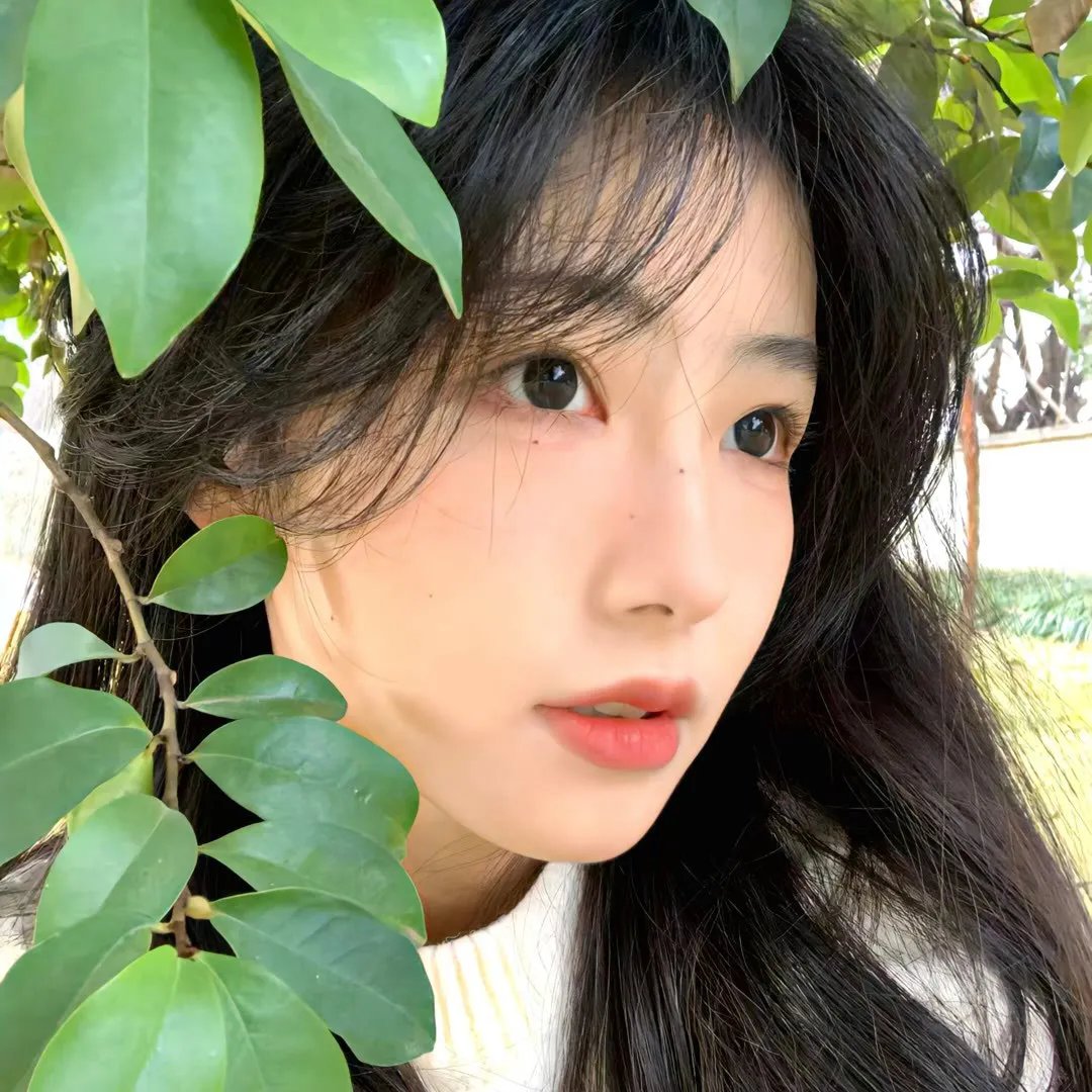 法国姑娘